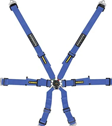 Schroth Flexi 2x2 6 Point Racing Harness