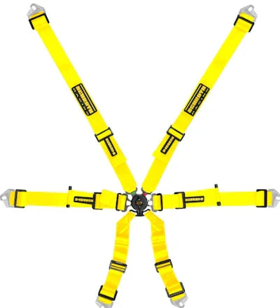Schroth Flexi 2x2 6 Point Racing Harness